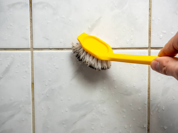 Best Office Mold Removal Services  in Arnold, CA