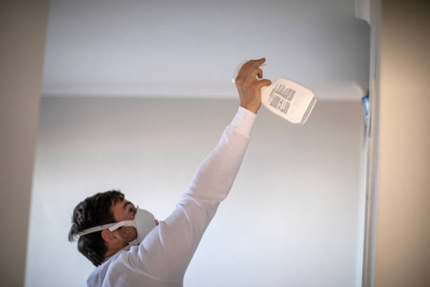 Best Toxic Mold Removal  in Arnold, CA