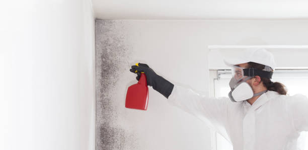 Best Crawl Space Mold Removal  in Arnold, CA